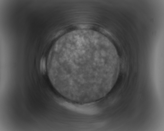 X0000083570028200703021759