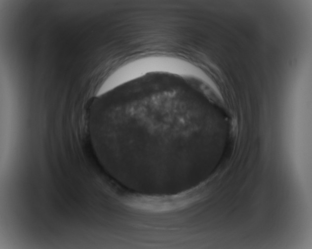 X0000083570029200703021759
