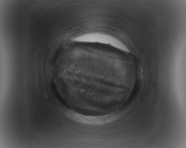 X0000083570030200703021759