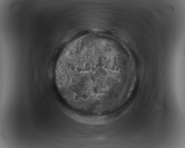 X0000083570032200703021759