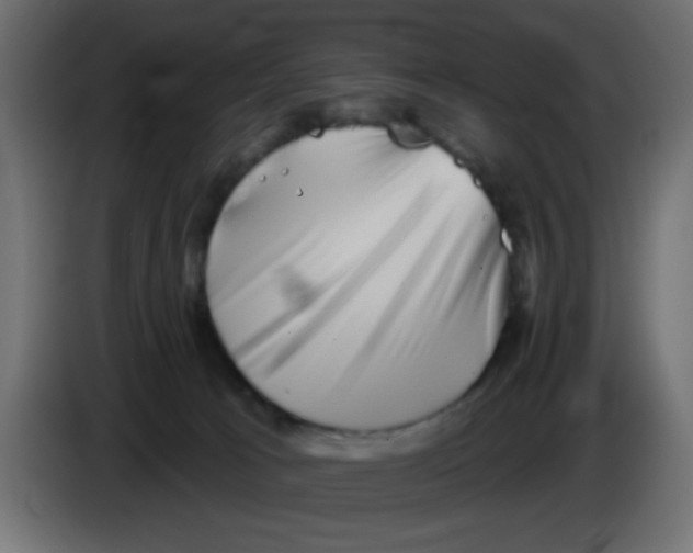 X0000083570033200703021759