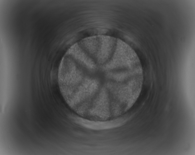 X0000083570034200703021759