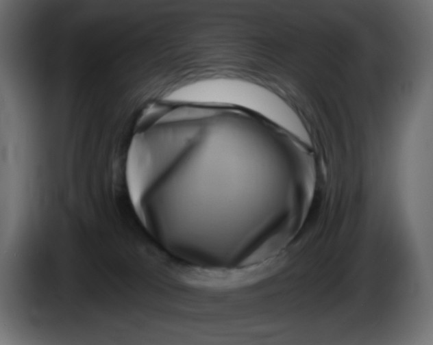 X0000083570037200703021759