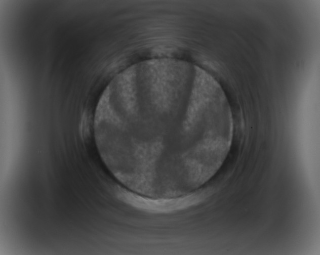 X0000083570038200703021759