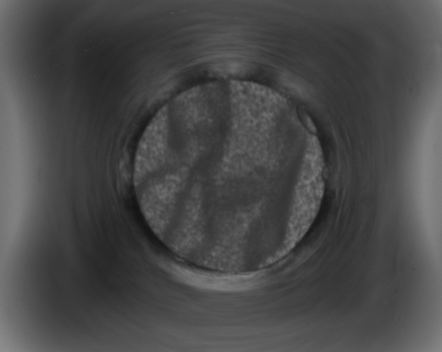X0000083570040200703021759
