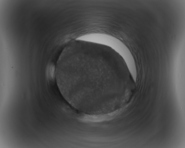 X0000083570041200703021759