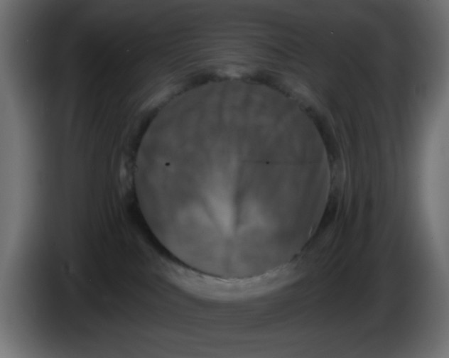 X0000083570043200703021759