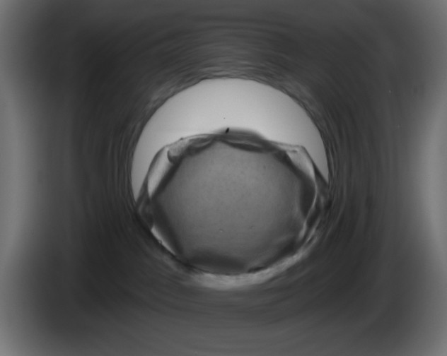 X0000083570045200703021759
