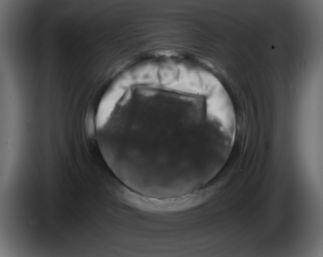 X0000083570046200703021759