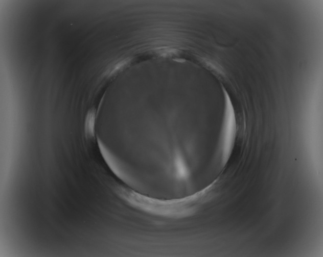 X0000083570047200703021759
