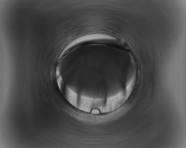 X0000083570048200703021759