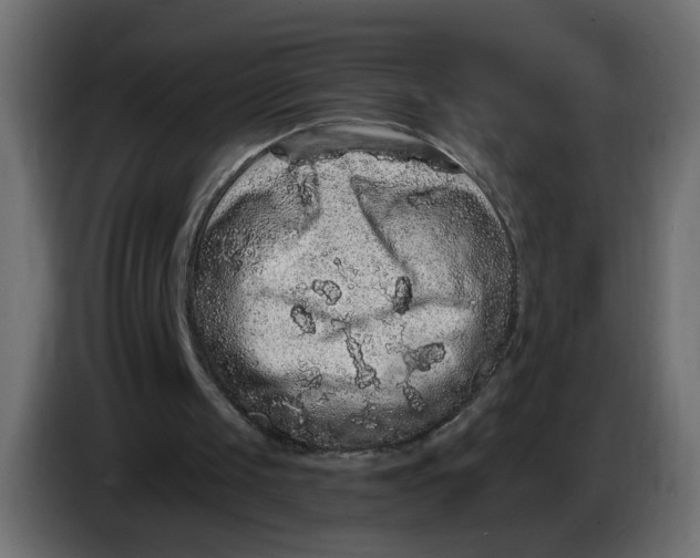 X0000083570049200703021758