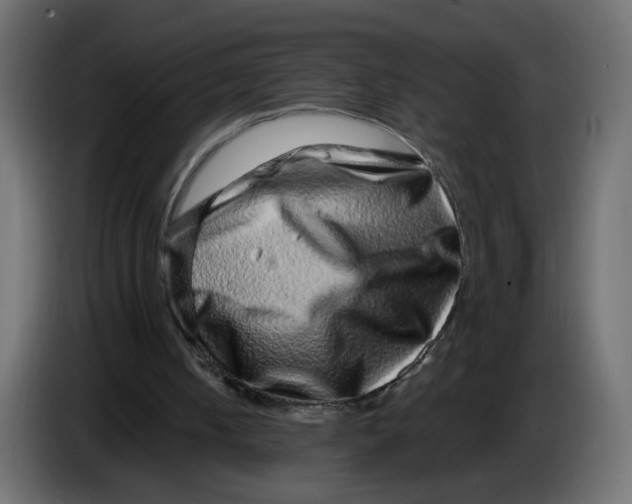 X0000083570050200703021758