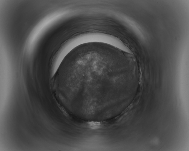 X0000083570052200703021758