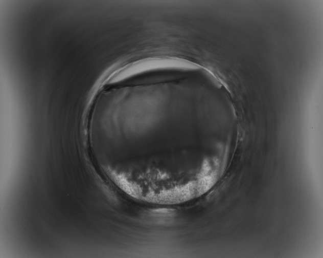 X0000083570053200703021758