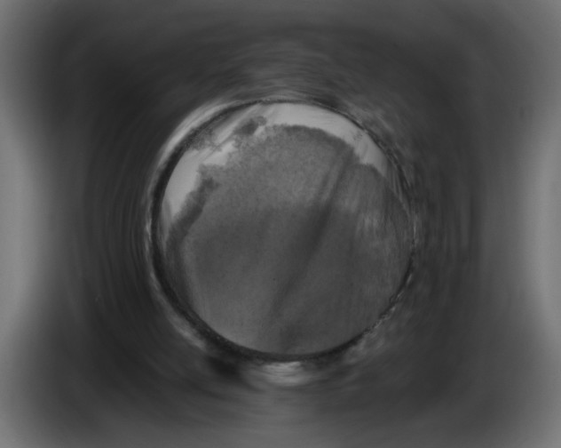 X0000083570054200703021758