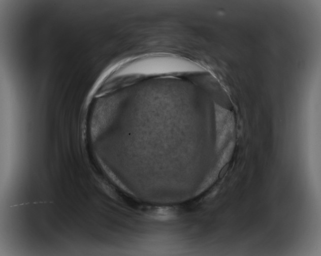 X0000083570056200703021758