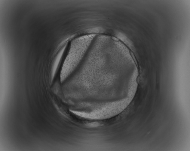 X0000083570058200703021758