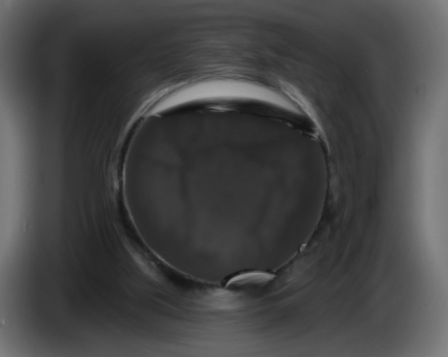 X0000083570059200703021758