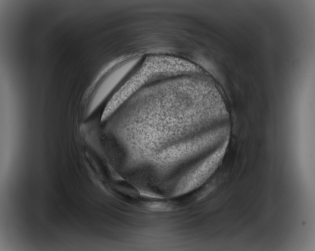 X0000083570060200703021758