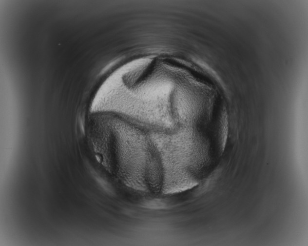 X0000083570062200703021758
