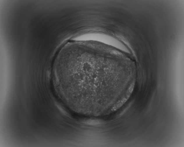 X0000083570063200703021758