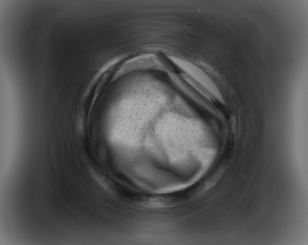 X0000083570064200703021758