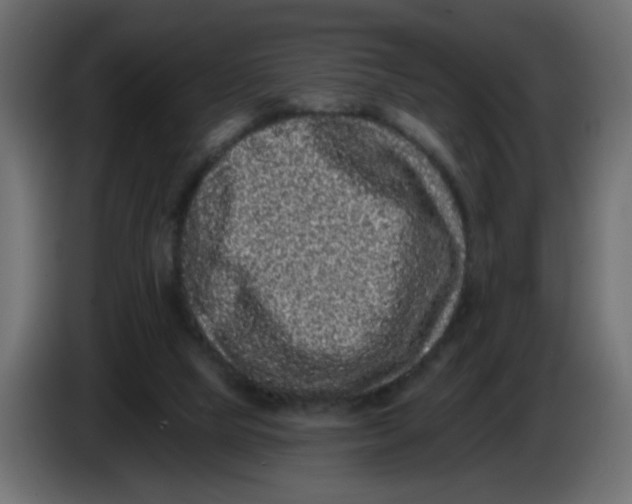 X0000083570065200703021758