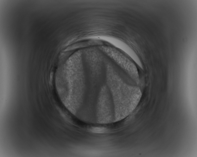 X0000083570066200703021758