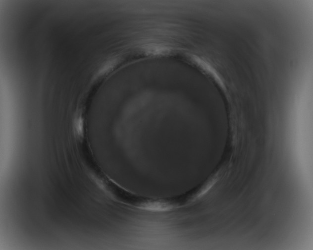 X0000083570067200703021758