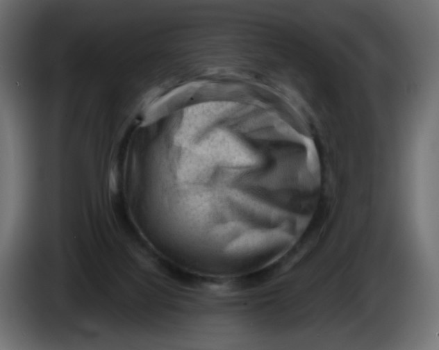 X0000083570068200703021758
