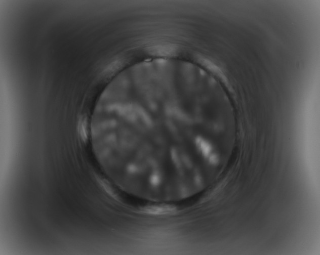 X0000083570069200703021758
