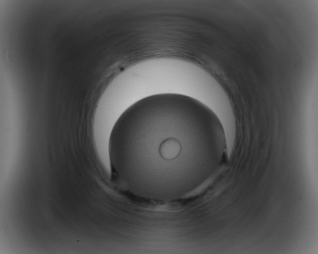 X0000083570072200703021758