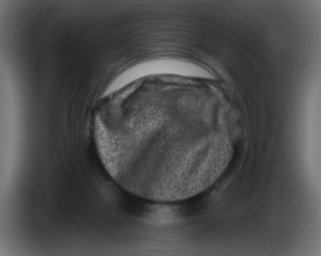 X0000083570073200703021758