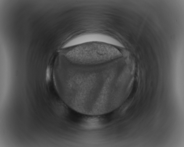 X0000083570075200703021758