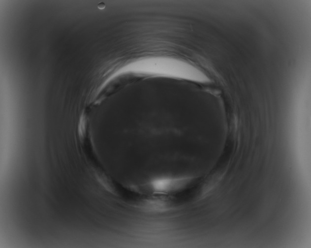 X0000083570076200703021758