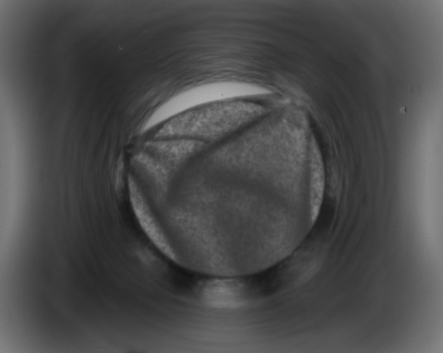 X0000083570077200703021758