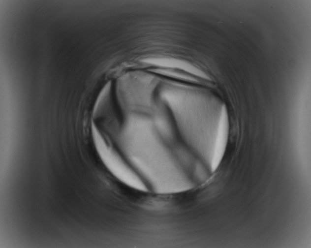 X0000083570078200703021758
