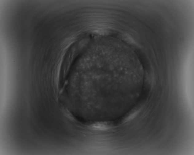 X0000083570080200703021758