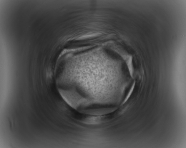 X0000083570084200703021758