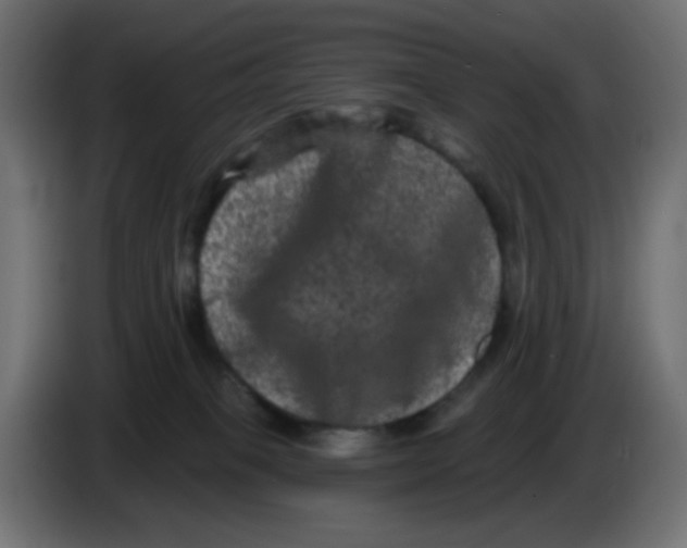 X0000083570085200703021758