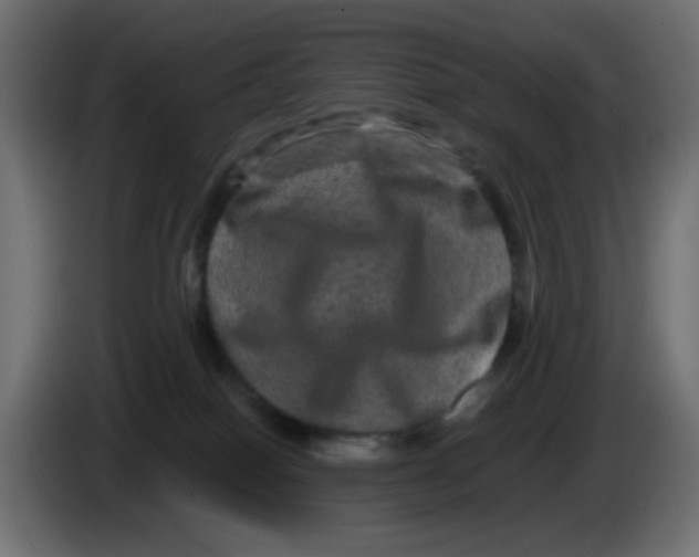 X0000083570086200703021758
