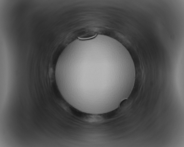 X0000083570087200703021758