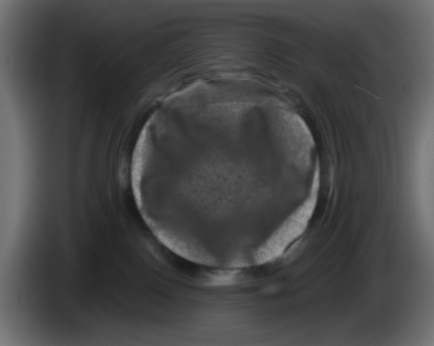 X0000083570090200703021758