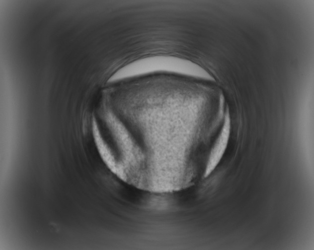 X0000083570093200703021759