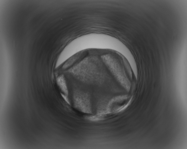 X0000083570094200703021759