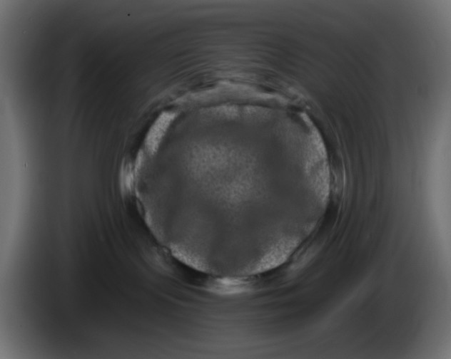 X0000083570095200703021759