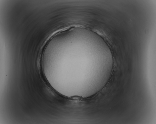 X0000083570098200703021758