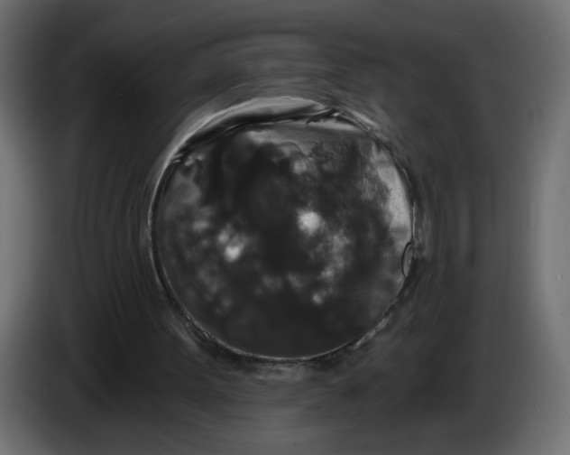 X0000083570099200703021758