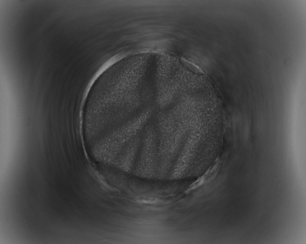 X0000083570100200703021758